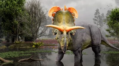 Loki, el dinosaurio recién descubierto entre Canadá y Estados Unidos