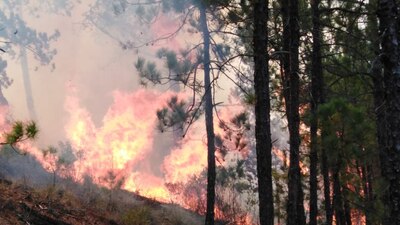 El fuego comenzó desde las 7:00 horas de este lunes