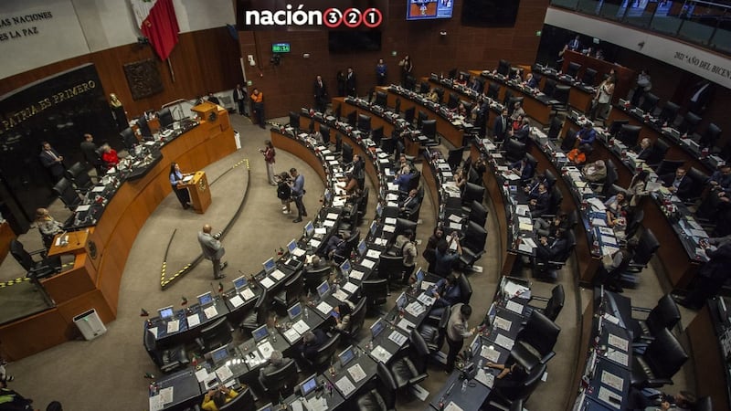 Senado declara constitucional la reforma sobre candidaturas y doble nacionalidad