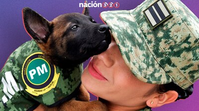 Los militares en México realizan distintas laboras para ayudar al pueblo