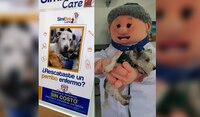 Simi Pet Care ofrecerá consultas veterinarias para perritos rescatados en CDMX