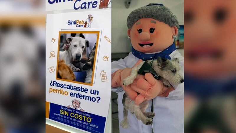 Simi Pet Care ofrecerá consultas veterinarias para perritos rescatados en CDMX