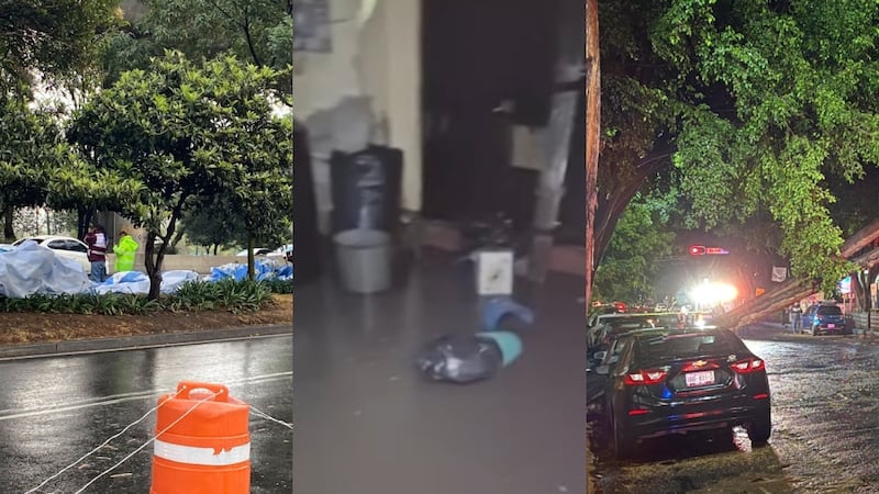 Inundaciones, caída de árboles y tráfico: las afectaciones por las lluvias en CDMX