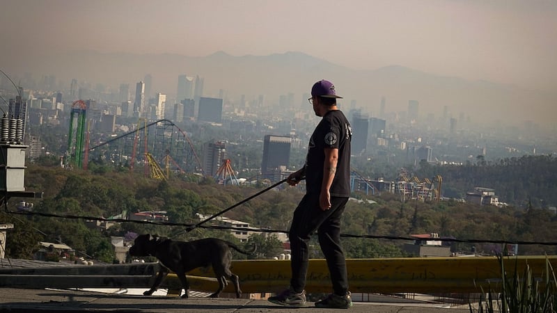 PVEM propone home office obligatorio en CDMX cuando se active la Contingencia Ambiental