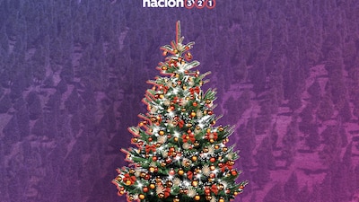 Los árboles de Navidad naturales son muy buscados por su aroma
