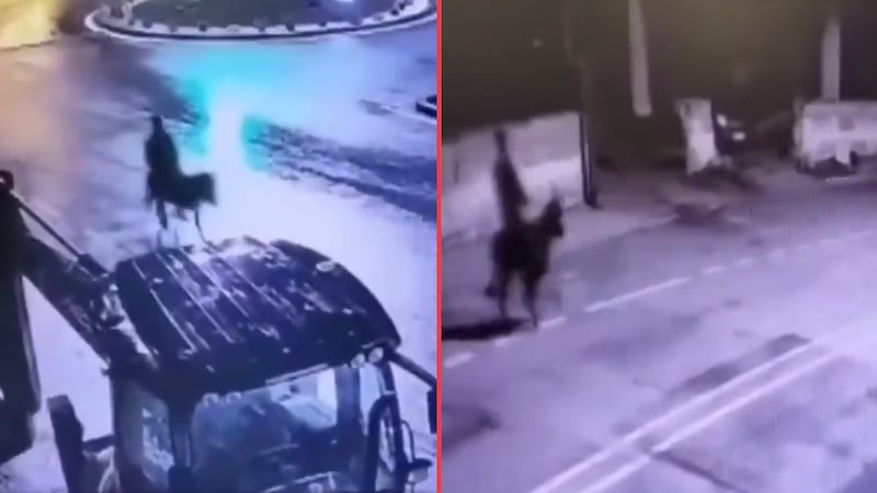 Insólito robo en Turquía: hombre asalta joyería y emprende huida en burro