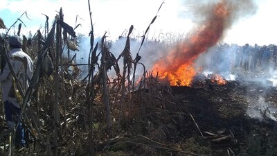 En una aeronave comercial murieron la gobernadora de Puebla y su esposo