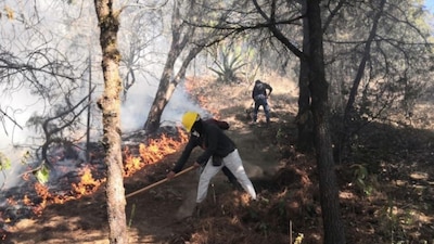 Mil 200 combatientes equipados y capacitados están desplegados en Michoacán