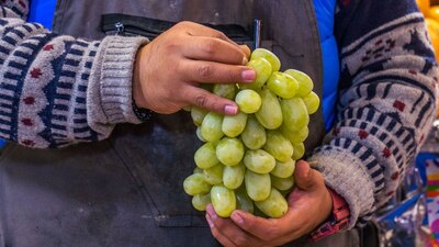 Nadie quiere perderse la oportunidad de pedir un deseo para empezar con todo el Año Nuevo