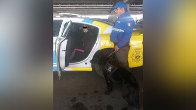 Se le encontró subiendo a adolescentes a un automóvil todos migrantes