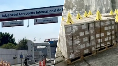 La Semar realizó el aseguramiento con ayuda de un binomio canino