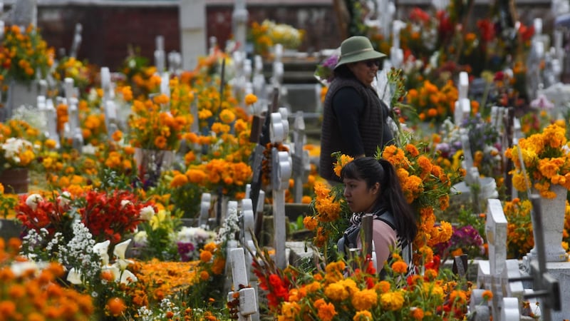 CDMX activa operativo por el Día de Muertos en 120 cementerios; así nos van a cuidar