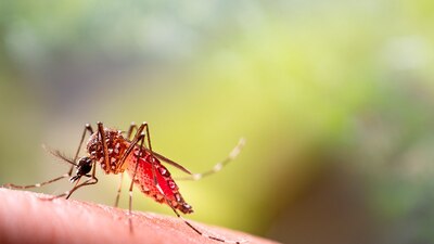 Ha habido un incremento significativo de los casos desde 2009