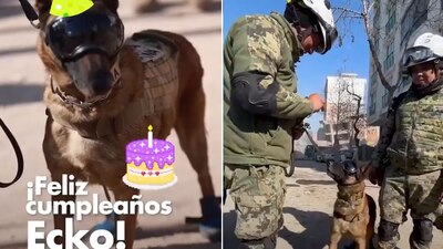 El gobierno y la Marina celebraron al 'lomito'.