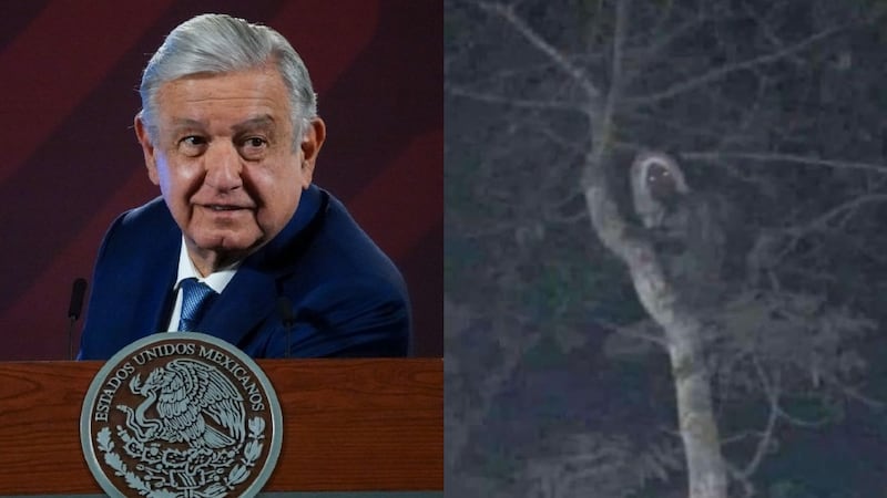 ¿Aluxes en el Tren Maya? AMLO comparte una reveladora foto