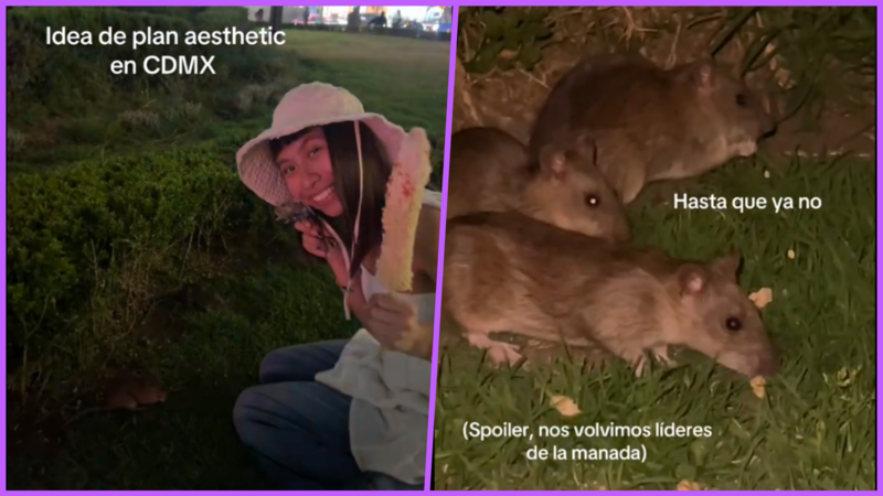 VIDEO: Polémica en redes por influencer que alimenta ratas en Bellas Artes