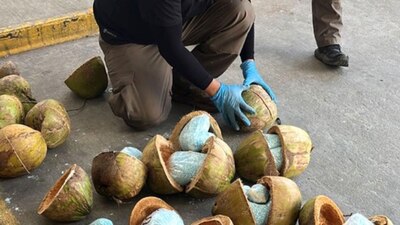 La droga iba oculta dentro de cocos que llevaban en un camión.