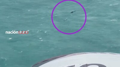 La embarcación 'Relax' zarpó desde el pasado 14 de octubre rumbo al Arrecife Alacranes, pero el mal clima le jugó mal