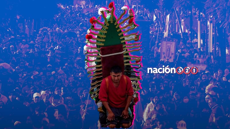 La fe en movimiento: miles de peregrinos buscan llegar a la Basílica de Guadalupe