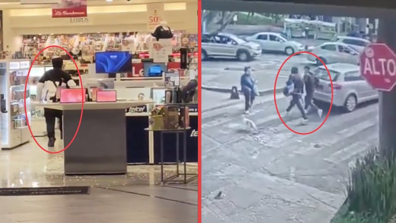 Asaltantes rompen vitrinas y roban celulares en Sanborns de Plaza Metrópoli Patriotismo