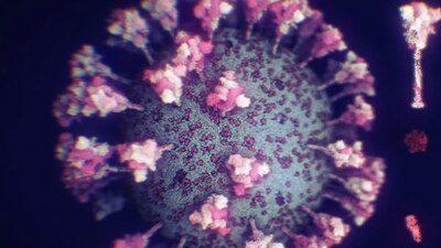 Los colores del SARS-CoV-2 no se pueden ver, pero los tonos rosas y azules fueron usados para representar mejor al virus