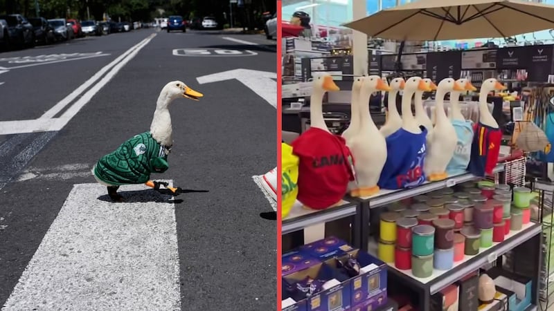 Euforia por ‘Merlín’, el pato mundialista que vende aguas, llegó hasta Vancouver