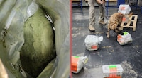 ¡La escondieron como suplemento “moringa”! Aseguran 8 kilos de hojas de coca en el AICM