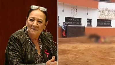 La senadora fue asistida minutos después del impacto del toro