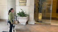 Joven invidente acusa discriminación en hotel; le niegan acceso con perro guía