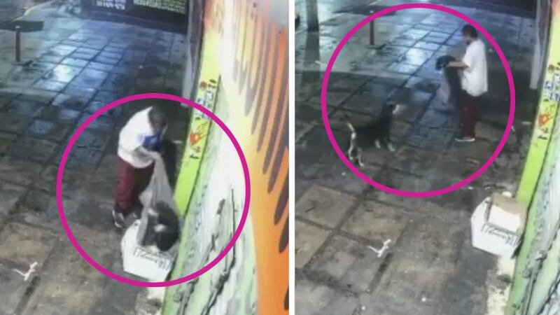 VIDEO: Hombre roba cobija a perrito en situación de calle