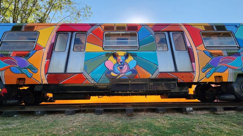 FOTOS: Metro inaugura oficina en un vagón para mejorar atención a perritos rescatados