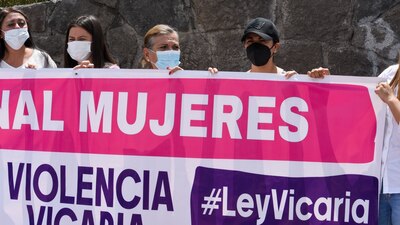 La Ley Vicaria es una petición que nació desde el colectivo ese mujeres.