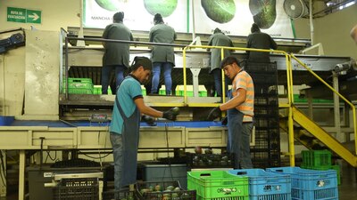 La venta de mercancías mexicanas a EU alcanzó los 43 mil 880 millones de dólares