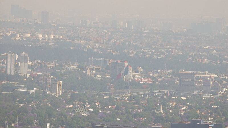 Se mantiene Fase 1 de la Contingencia Ambiental en el Valle de México; ¿qué autos no circulan?