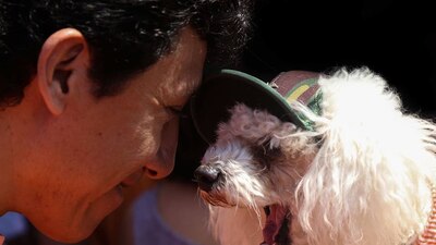 Los ministros consideraron que la venta de dichos productos debe ser gravada con este porcentaje