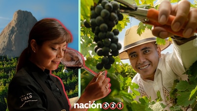 En Querétaro puedes pasar unos días, disfrutando la naturaleza y su vino