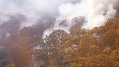 El 90 % del incendio ya está controlado
