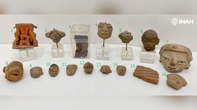 Estas piezas están protegidas por la Ley Federal sobre Monumentos y Zonas Arqueológicos, Artísticos e Históricos.