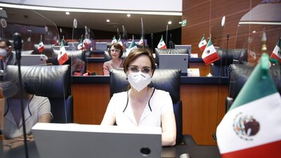 “Propongo a mis compañeros legisladores federales que se actualicen los delitos de terrorismo", pidió la panista