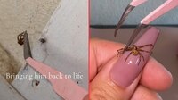 VIDEO: Mujer causa polémica en redes por usar arañas muertas como decoración de uñas