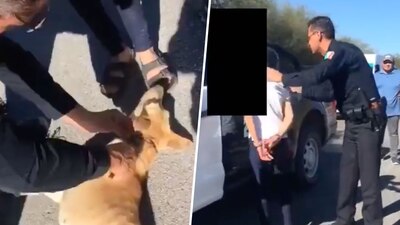 Detuvo a la mujer que incurrió en maltrato animal