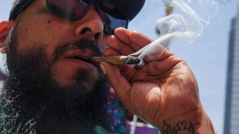 Colectivos piden que se legisle en favor del uso lúdico y universal de la mariguana