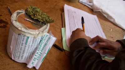 Se prevé que esta semana la legalización de la marihuana pase en el Senado