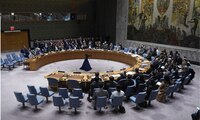 Consejo de Seguridad de la ONU adoptó una resolución sobre el conflicto entre Ucrania y Rusia