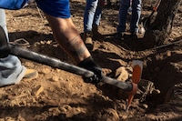 Colectivo ‘Amor por los Desaparecidos’ halla al menos 14 cuerpos en “zona de exterminio” en Reynosa