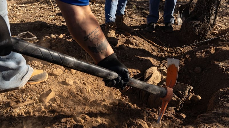 Colectivo ‘Amor por los Desaparecidos’ halla al menos 14 cuerpos en “zona de exterminio” en Reynosa