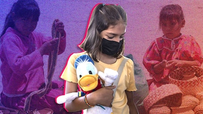 Acoso, discriminación, violencia y acceso a la educación: las principales barreras