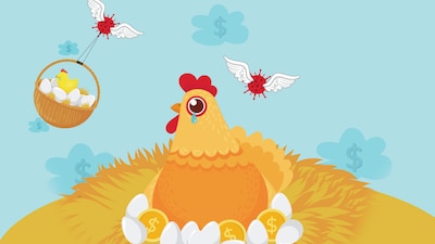 México confirmó el primer caso de la enfermedad en un ave silvestre en Metepec