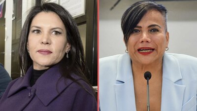 La diputada panista estuvo en desacuerdo con la resolución del TEPJF