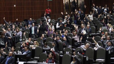 Los legisladores buscarán escuchar especialistas, víctimas y organismos antes de tomar la decisión